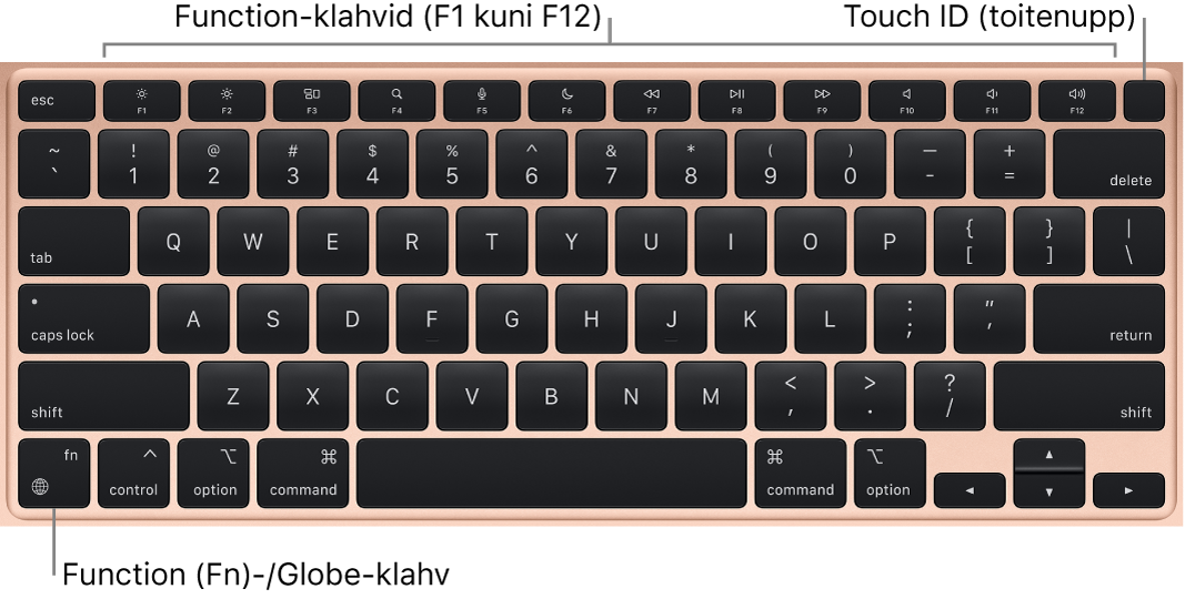 MacBook Airi klaviatuur, mille ülaosas on funktsiooniklahvide rida, üleval Touch ID toitenupp ning alumises vasakus nurgas klahv Function (Fn).
