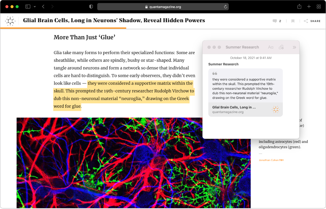 Safari aken ajakirjaartikli esiletõstetud tekstiga ning nimega “Summer Research” Quick Note'iga, mis sisaldab teksti ja linki artikli juurde.