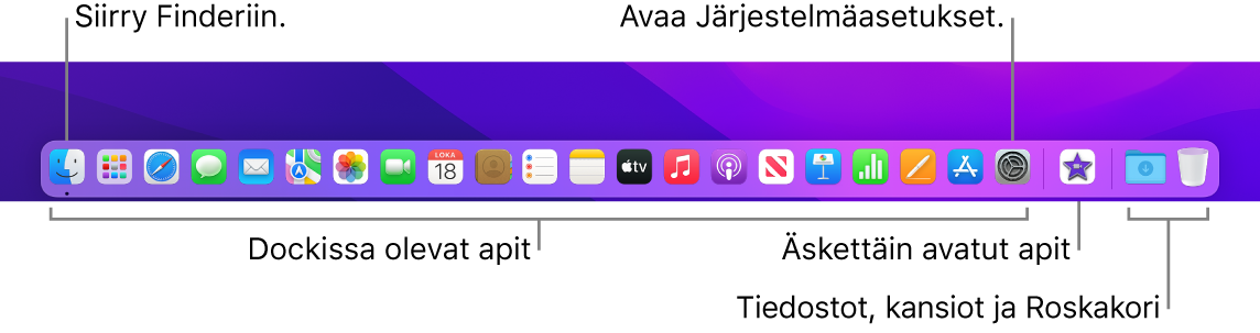 Dock, jossa näkyy Finder, Järjestelmäasetukset ja Dockissa oleva erotin, joka erottaa tiedostot ja kansiot apeista.