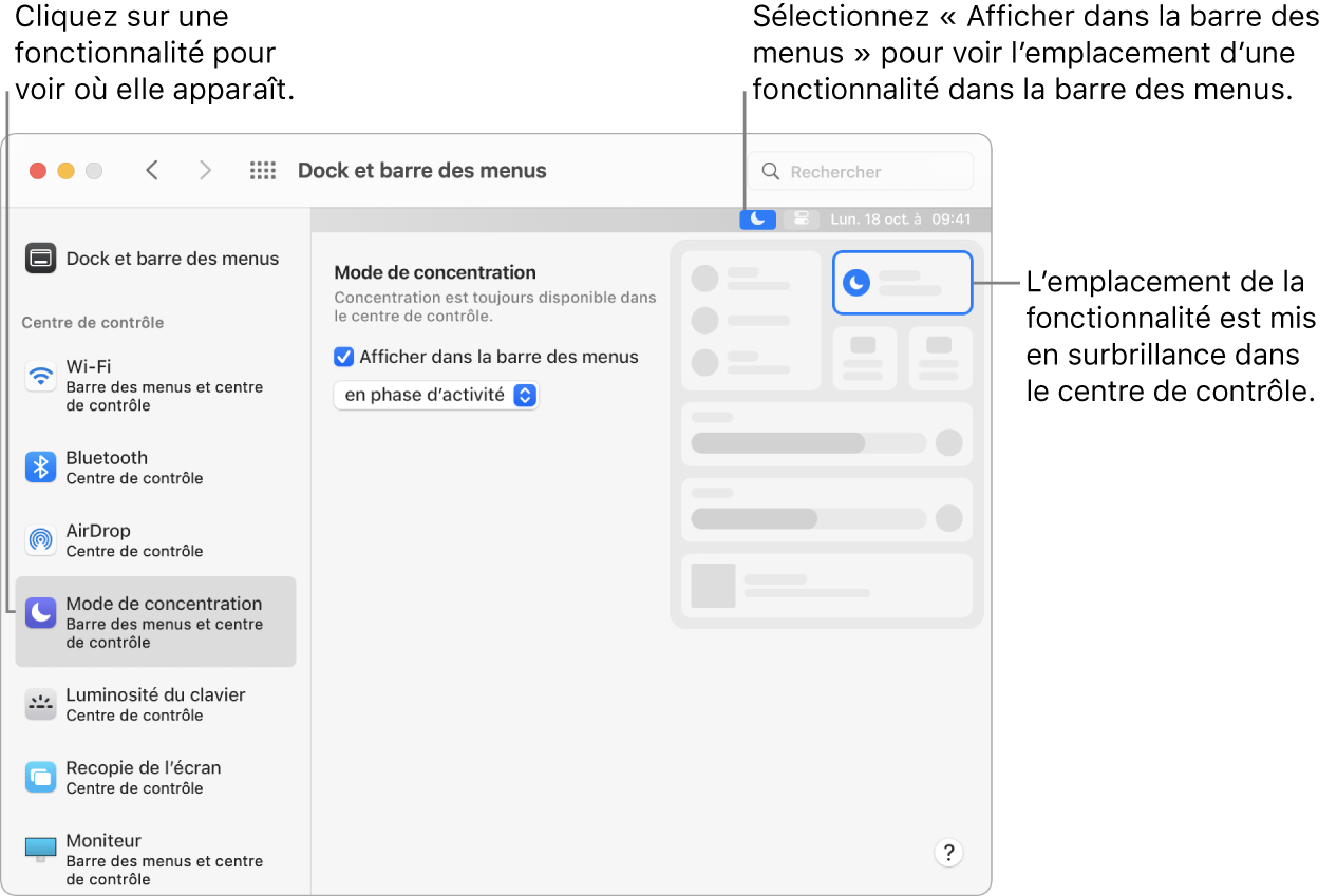 La fenêtre des préférences « Dock et barre des menus », avec des légendes pour Concentration ainsi que les réglages et résultats facultatifs pour la fonctionnalité.