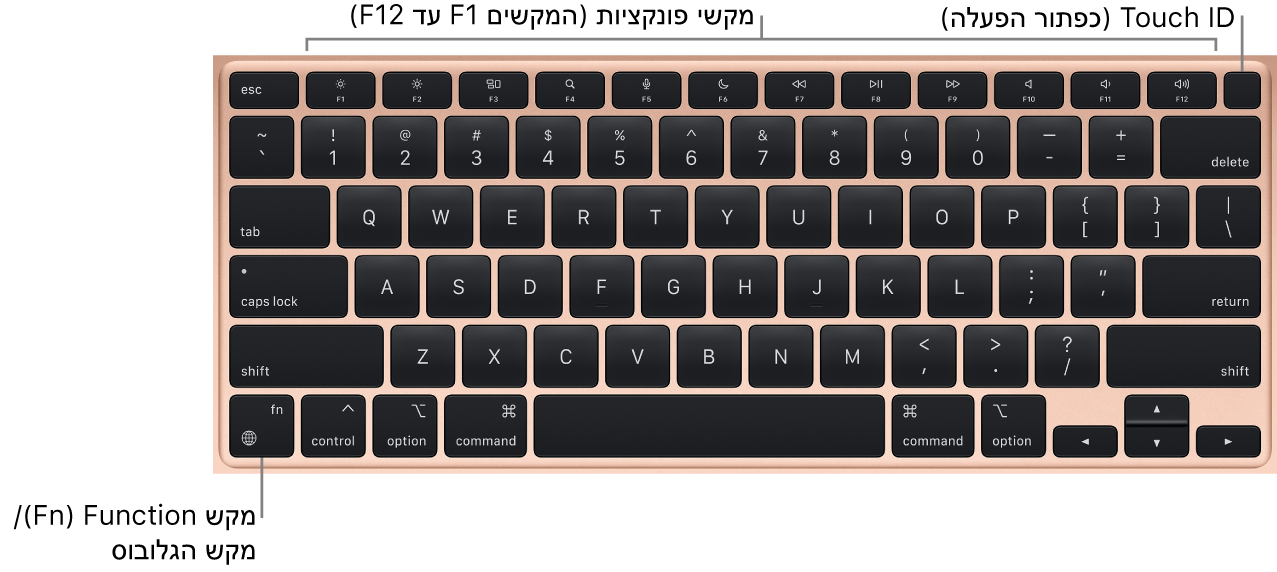 המקלדת של ה‑MacBook Air מציגה את שורת מקשי הפונקציה ואת כפתור ההפעלה של Touch ID לאורך החלק העליון, ואת מקש הפונקציה (Fn) משמאל למטה.