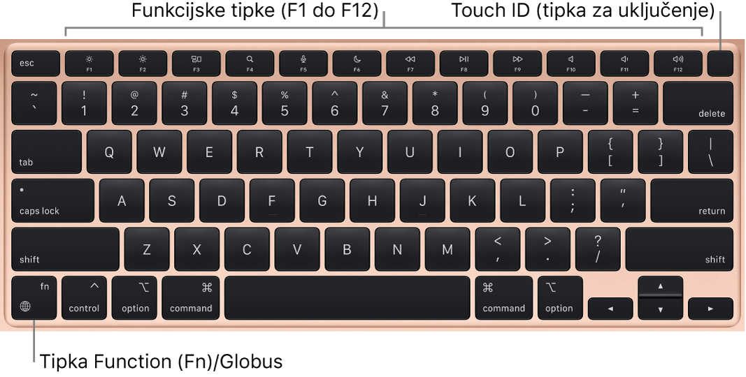 MacBook Air tipkovnica pokazuje red funkcijskih tipki i Touch ID tipku za uključivanje preko vrha i Funkciju (Fn) u donjem lijevom kutu.