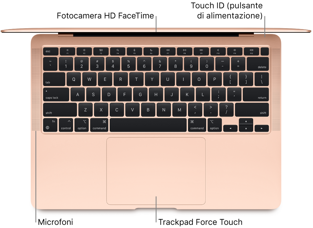 Vista dall'alto di MacBook Air, aperto, con didascalie indicanti la fotocamera HD FaceTime, Touch ID (pulsante di alimentazione), i microfoni e il trackpad Force Touch.