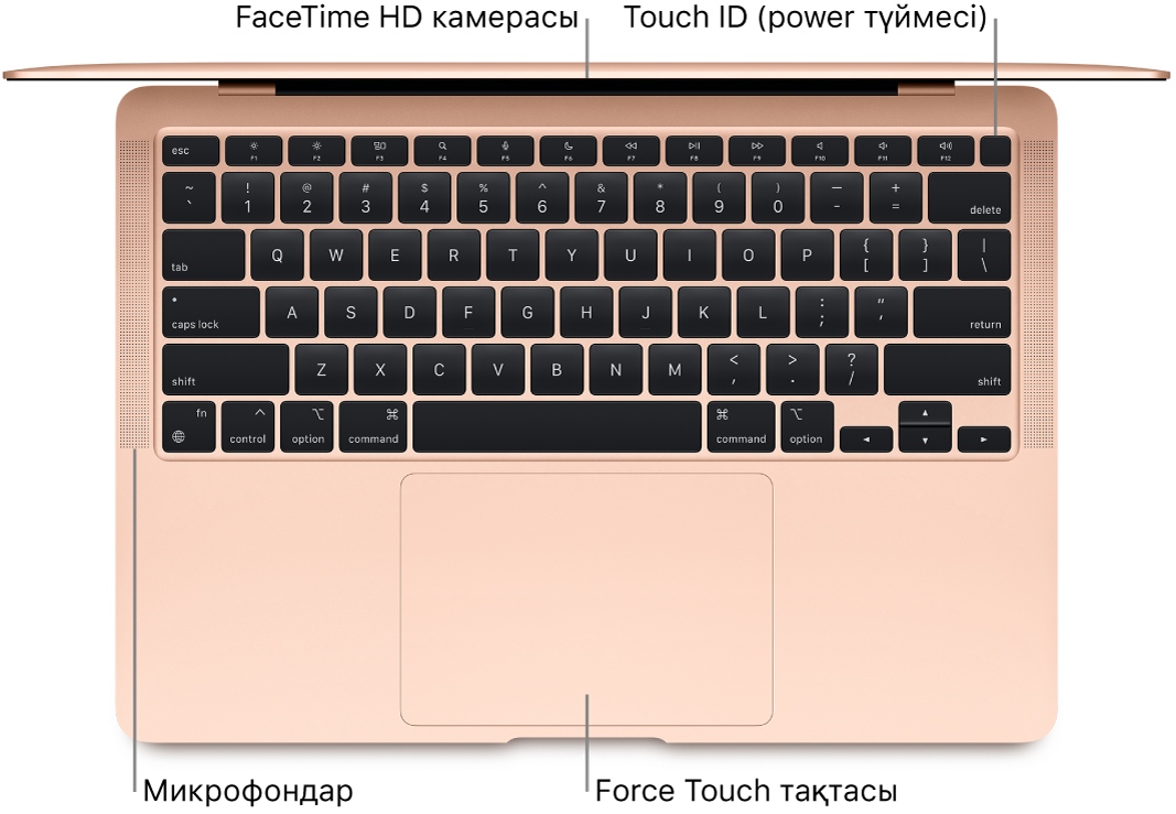 FaceTime HD камерасына, Touch ID құралына (қуат түймесі), микрофондар және Force Touch тақтасына тілше деректері бар ашық MacBook Air компьютерінің төменгі көрінісі.