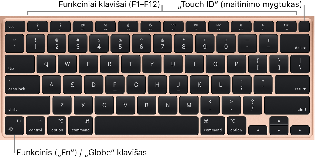 „MacBook Air“ klaviatūra, viršuje matosi funkcinių klavišų eilė, „Touch ID“ maitinimo mygtukas, o apatiniame kairiajame kampe – klavišas „Function“ („Fn“).