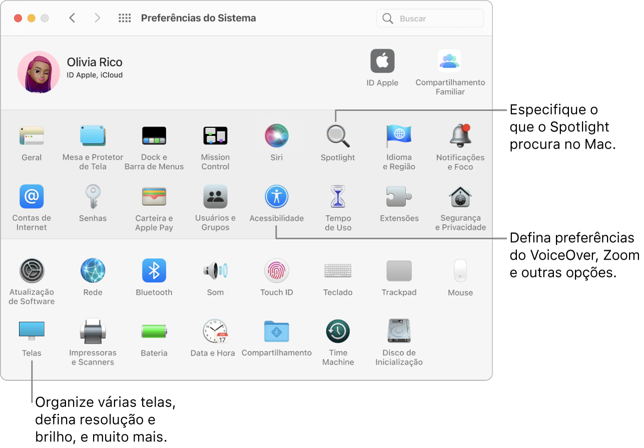 Janela de Preferências do Sistema com chamadas para as preferências de Spotlight, Acessibilidade e Telas.