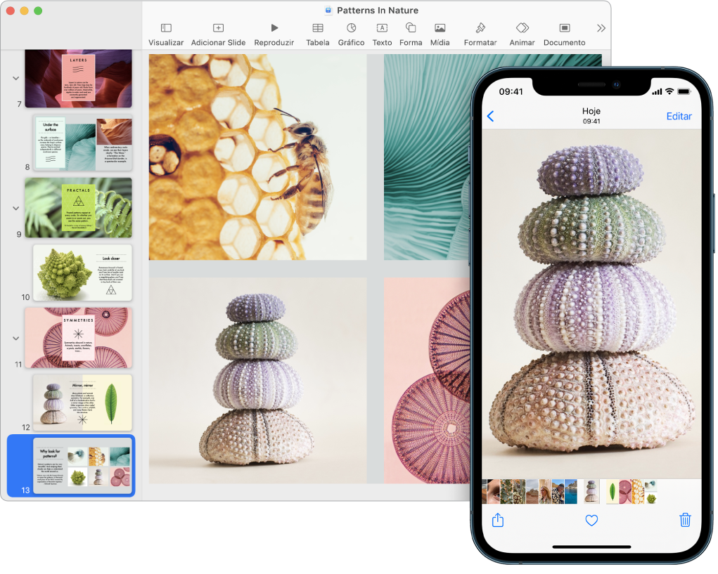 Um iPhone mostrando uma foto, ao lado de um Mac mostrando a foto depois de ser colada em um documento do Pages.