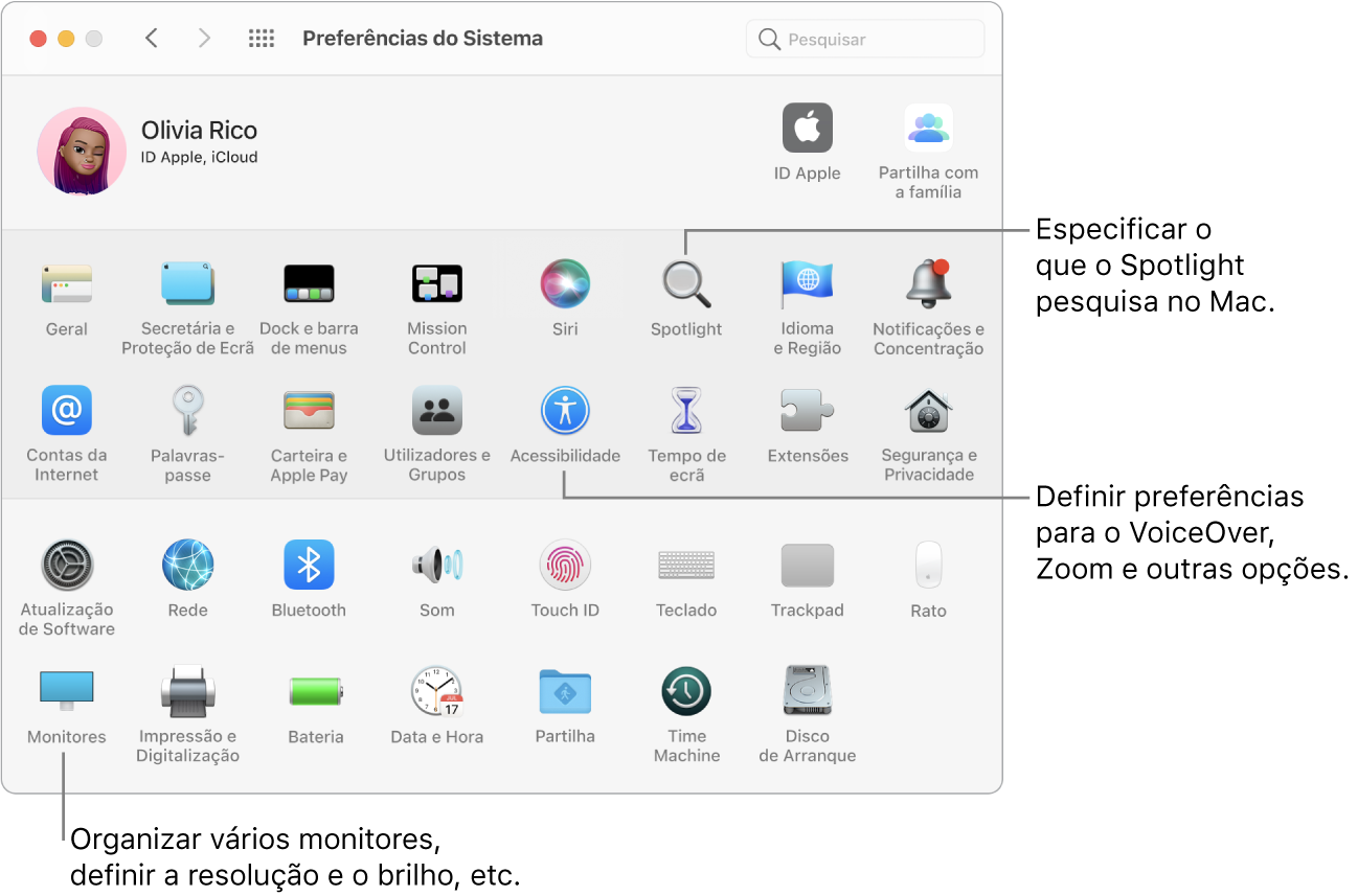 A janela das Preferências do Sistema, com chamadas para o Spotlight, Acessibilidade e painel de preferências Monitores.