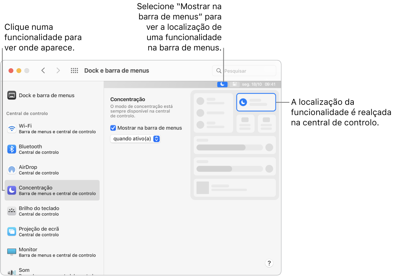 A janela das preferências de Dock e Barra de Menus, com chamadas para a Concentração e as definições opcionais e os resultados para a funcionalidade.