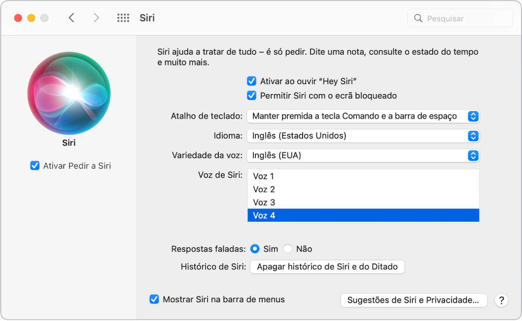 A janela de preferências de Siri com a opção “Ativar Perguntar a Siri’” assinalada à esquerda e várias opções para personalizar Siri à direita, incluindo “Ativar através de Hey Siri”.