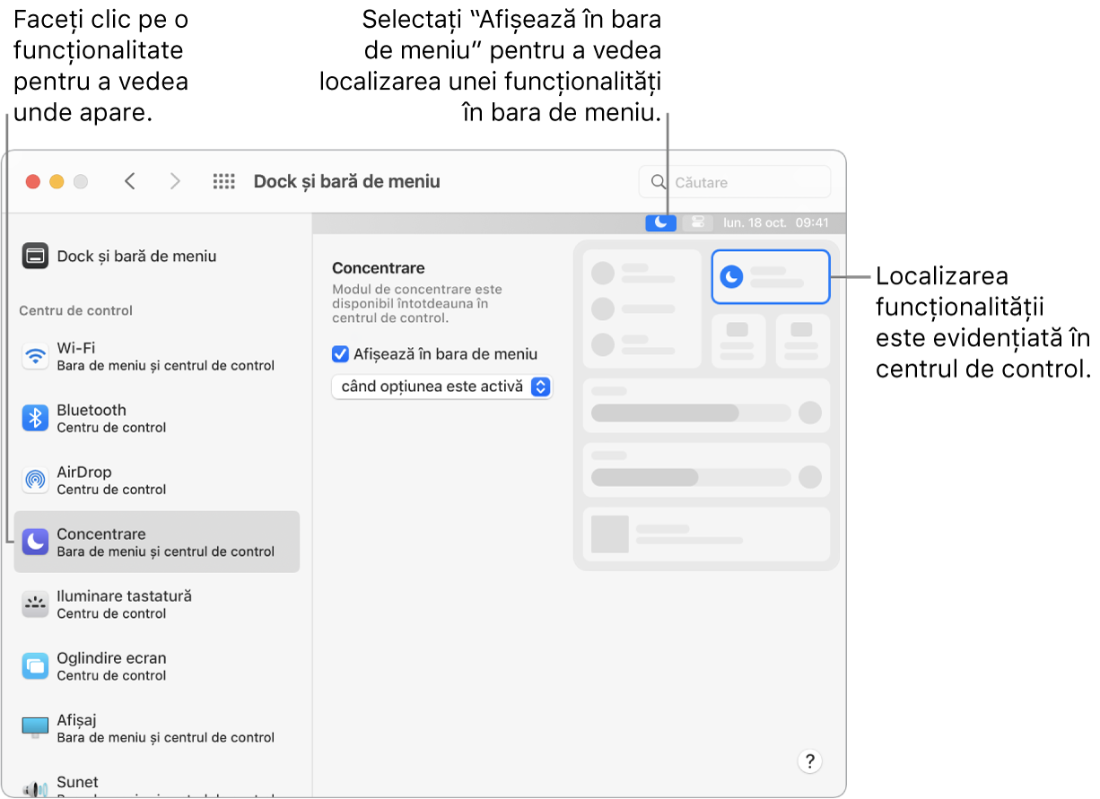 Fereastra de preferințe Dock și bara de meniu, cu explicații pentru Concentrare și configurările opționale și rezultatele pentru funcționalitate.