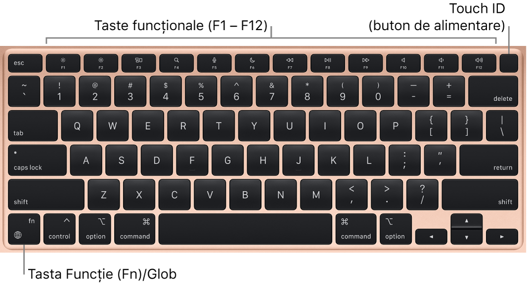 Tastatura MacBook Air afișând rândul de taste funcționale și butonul de alimentare Touch ID în partea de sus și tasta Funcție (Fn) în colțul din stânga jos.