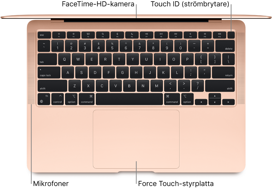 Vy nedåt på en öppen MacBook Air med streck som pekar mot FaceTime-HD-kameran, Touch ID (strömbrytaren), mikrofonerna och Force Touch-styrplattan.
