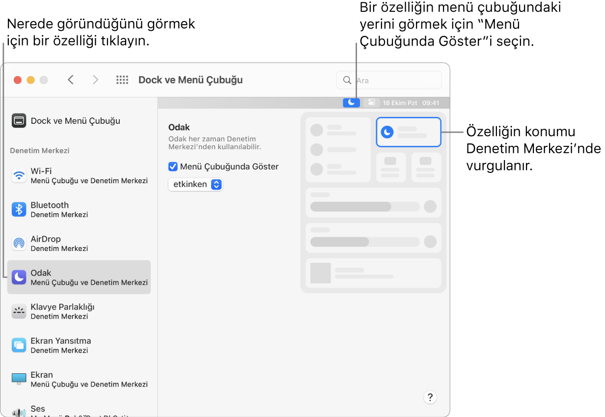 Odak’a ve özellikle ilgili isteğe bağlı ayarlar ile sonuçlara belirtme çizgileriyle Dock ve Menü Çubuğu tercihleri penceresi.