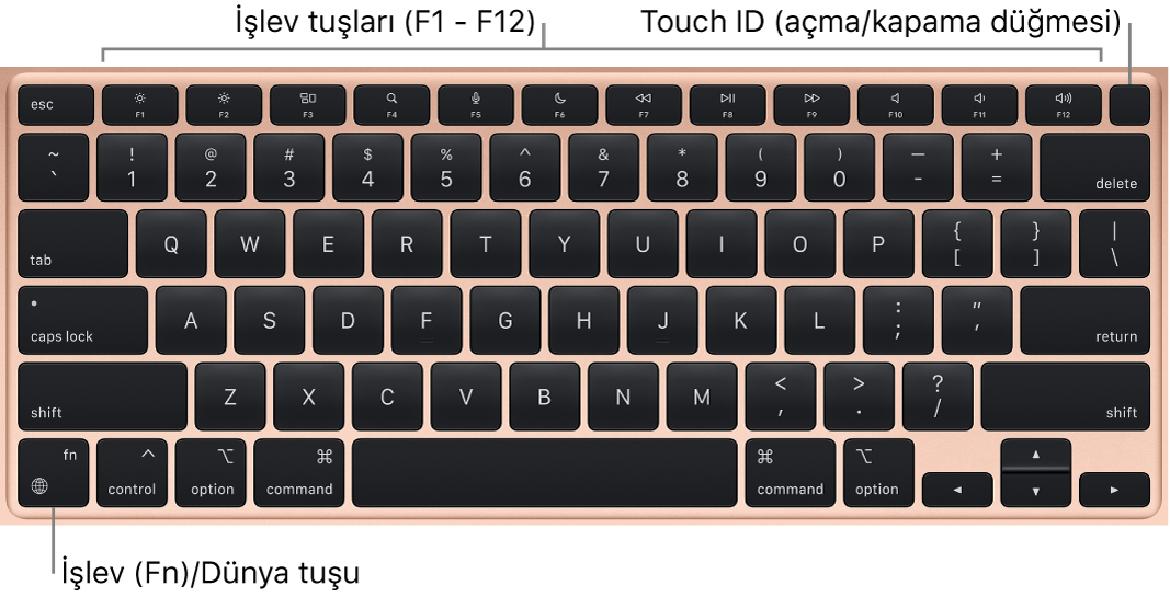 En üstte işlev tuşları sırası ile Touch ID açma/kapama düğmesini ve sol alt köşede İşlev (Fn) tuşunu gösteren MacBook Air klavyesi.