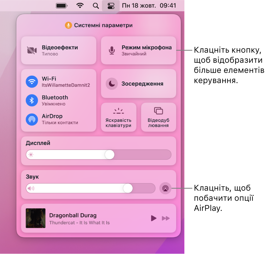 Збільшений вигляд Центру керування на Mac з виноскою кнопки «Дисплей».