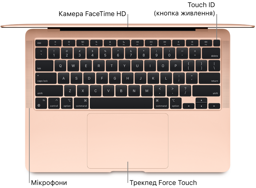 Погляд зверху на відкритий MacBook Air із виносками на камеру FaceTime HD, Touch ID (кнопка живлення), мікрофони й трекпед Force Touch.