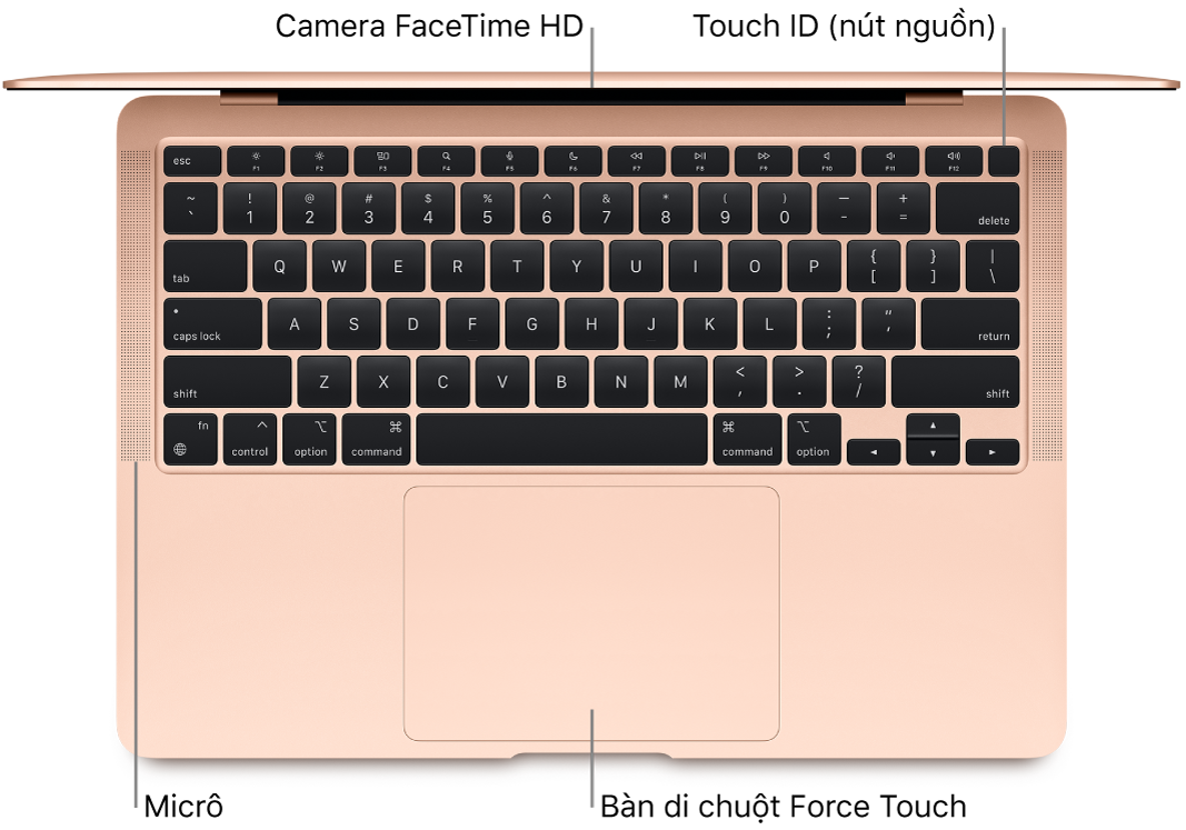 Nhìn từ trên xuống một MacBook Air được mở, với các chú thích đến camera FaceTime HD, Touch ID (nút nguồn), các micrô và bàn di chuột Force Touch.