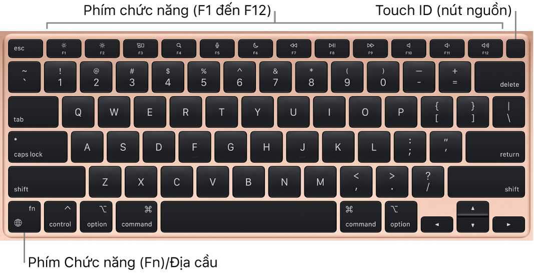 Bàn phím MacBook Air đang hiển thị hàng các phím chức năng và nút nguồn Touch ID ở trên cùng, cùng với phím Chức năng (Fn) ở góc phía dưới bên trái.