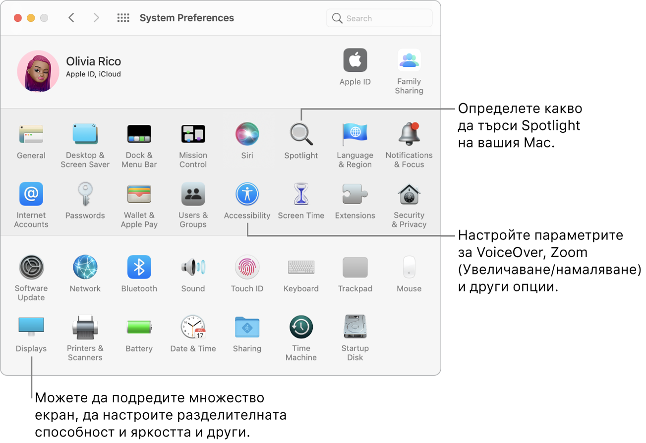 Екранът Системни параметри с надписи за параметрите на Spotlight, Accessibility (Улеснен достъп) и Displays (Екрани).