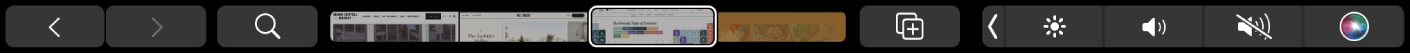 Touch Bar til Safari med pile til at gå frem og tilbage, søgeknappen, afspilningsmærket til fane og knappen Tilføj bogmærke.