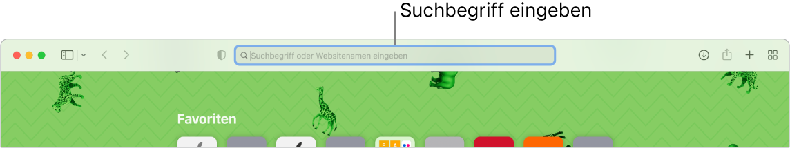 Ein abgeschnittenes Safari-Fenster mit einer Beschreibung des Suchfelds oben im Fenster.