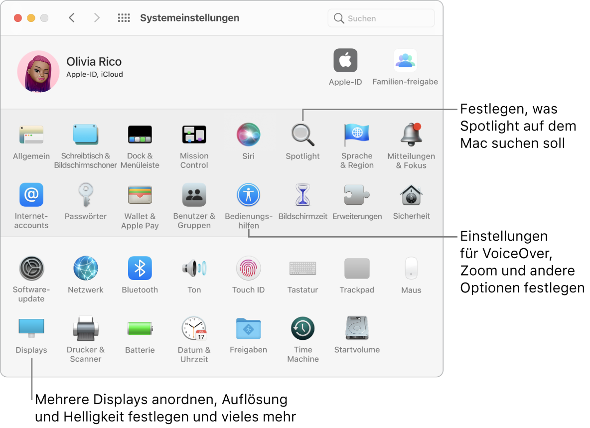 Das Fenster der Systemeinstellungen mit Beschriftungen für die Systemeinstellungen „Spotlight“, „Bedienungshilfen“ und „Monitore“.