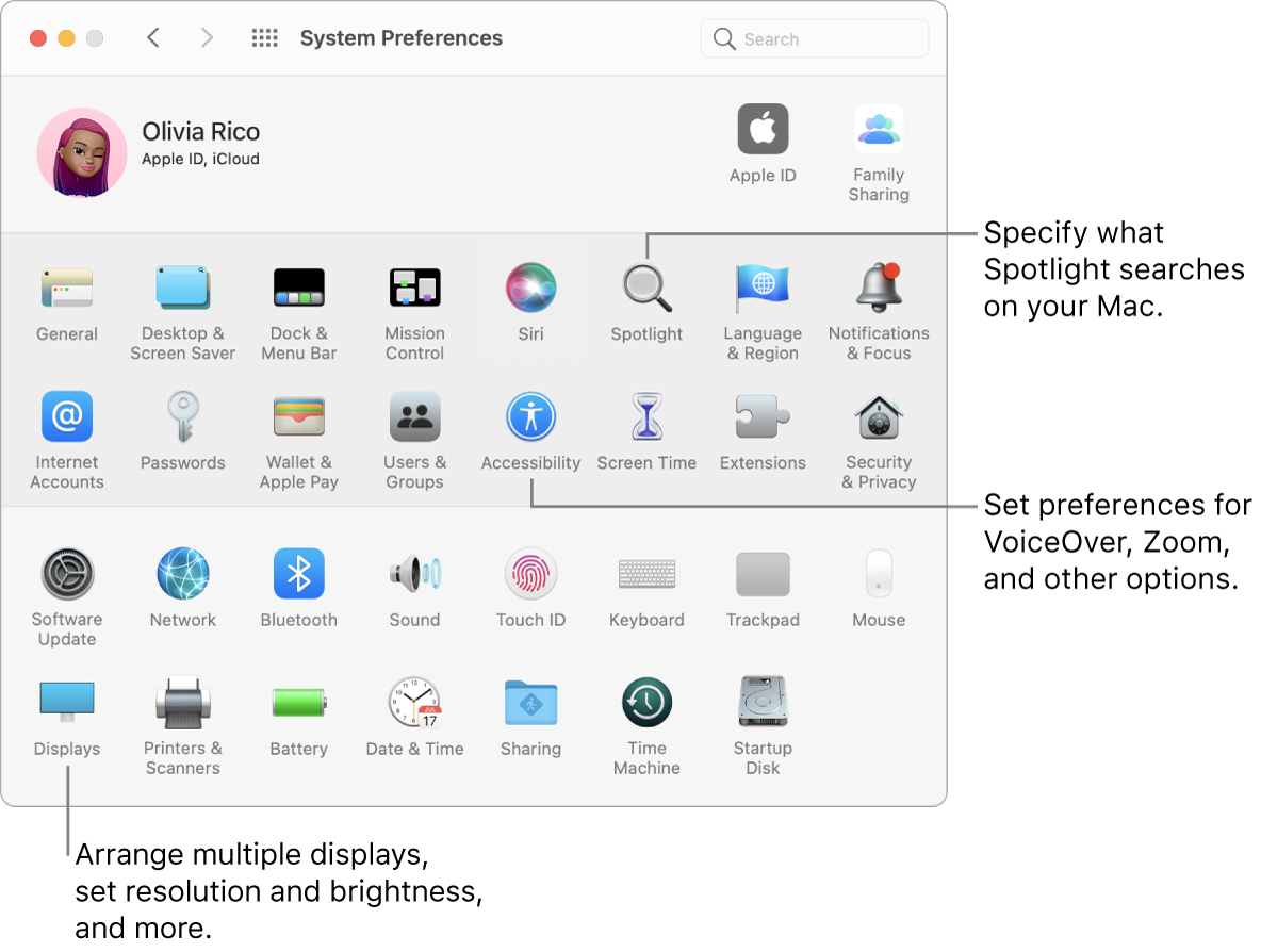 The System Preferences window, with callouts to Spotlight, Accessibility, and Displays preferences.