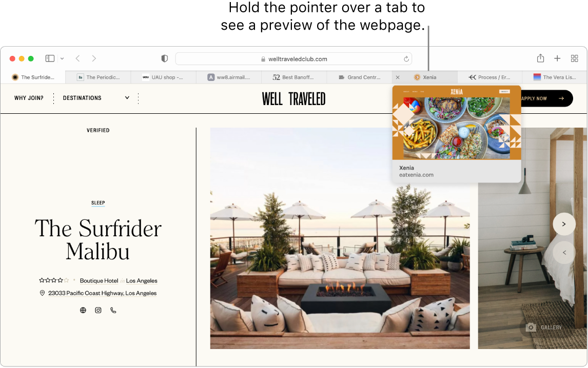 A Safari window with an active webpage called Well Traveled, along with 9 additional tabs, and a callout to a preview of the Xenia”tab with the text “Hold the pointer over a tab to see a preview of the webpage.”
