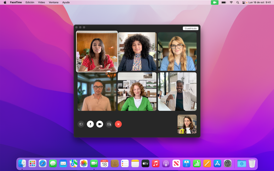Una ventana de FaceTime con un grupo de usuarios invitados.