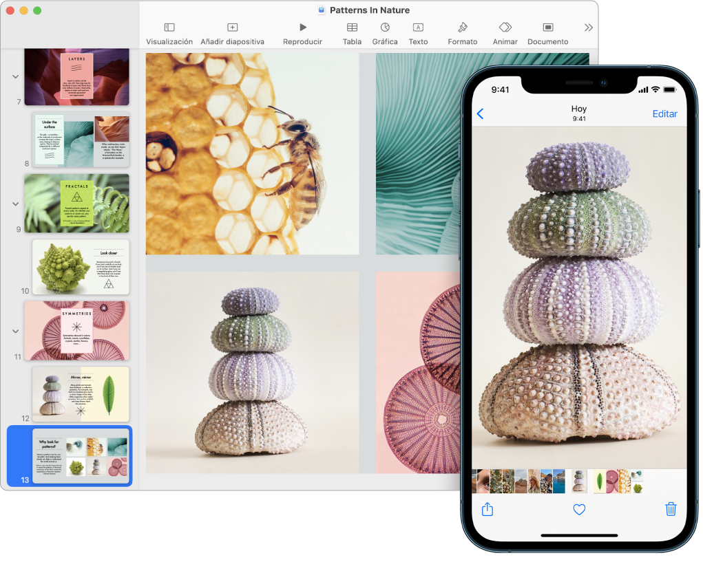 Un iPhone en el que se muestra una foto junto a un Mac en el que se ve la foto después de pegarla en un documento de Pages.
