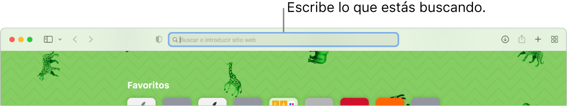 Una ventana de Safari recortada con una llamada al campo de búsqueda, en la parte superior de la ventana.