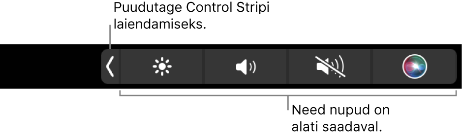 Vaikimisi kasutatava Touch Bari osaline pilt, millel kuvatakse ahendatud Control Stripi. Täieliku Control Stripi kuvamiseks puudutage laiendamise nuppu.