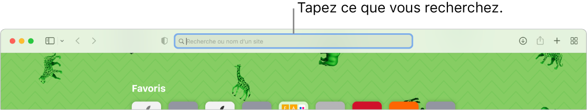Une fenêtre Safari rognée avec une légende pour le champ de recherche en haut de la fenêtre.