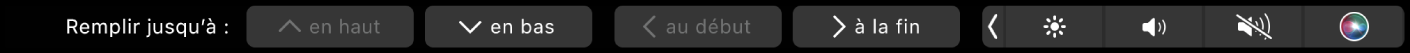 Touch Bar de Numbers affichant les boutons de remplissage automatique. Cela comprend les options Haut, Bas, Début et Fin.