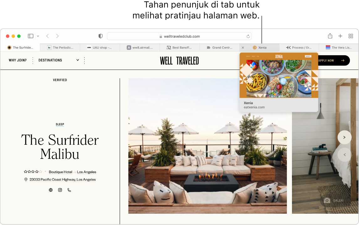 Jendela Safari dengan halaman web aktif berjudul Well Traveled, beserta 9 tab tambahan, dan keterangan untuk pratinjau tab “Xenia” dengan teks “Hold the pointer over a tab to see a preview of the webpage”.