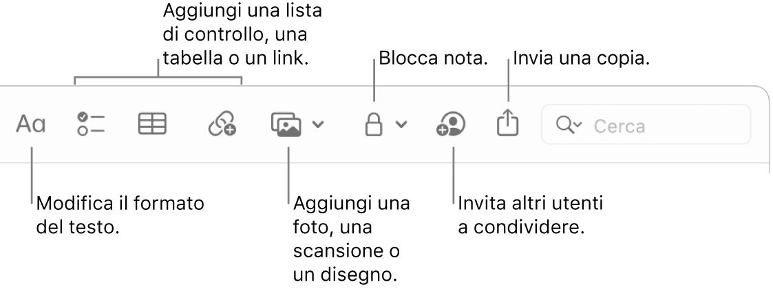 La barra degli strumenti di Note con didascalie per gli strumenti formato di testo, elenco di controllo, tabella, link, foto/media, blocco, condivisione e invio di una copia.