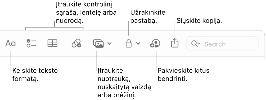 „Notes“ įrankių juosta su išnašomis į teksto formatavimo, kontrolinio sąrašo, lentelės, nuorodos, nuotraukų / turinio, užrakinimo, bendrinimo ir kopijos siuntimo priemones.