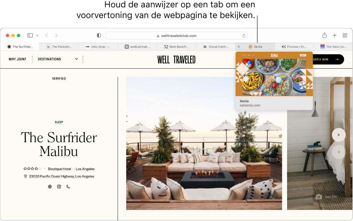 Een Safari-venster met een actieve webpagina getiteld "Well Traveled" en negen andere tabbladen. Een bijschrift verwijst naar een voorvertoning van het tabblad "Xenia" met de tekst "Houd de aanwijzer op een tab om een voorvertoning van de webpagina te bekijken".