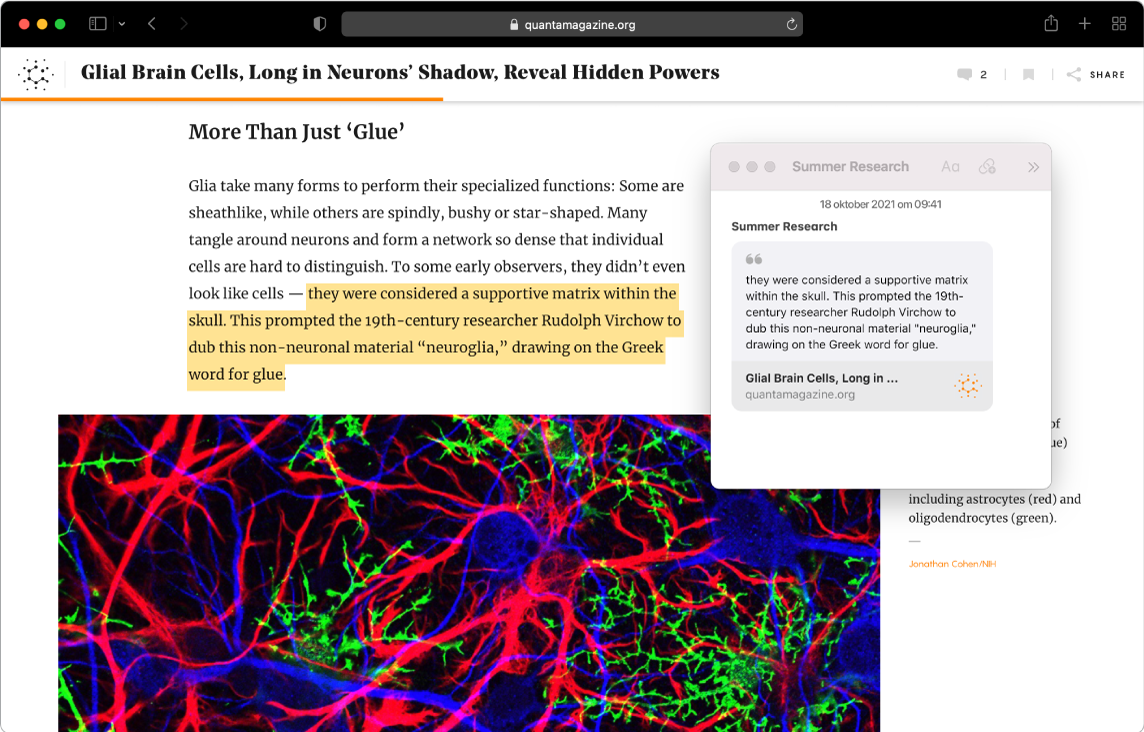 Een Safari-venster met geselecteerde tekst in een tijdschriftartikel en een snelle notitie getiteld "Summer Research" met daarin de tekst en een link naar het artikel.