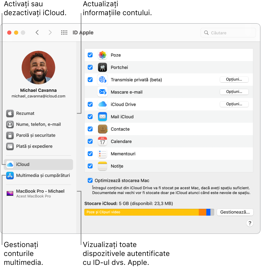 Panoul ID Apple din Preferințe sistem. Faceți clic pe un articol din bara laterală pentru a actualiza informațiile contului dvs., activați sau dezactivați iCloud, gestionați conturile multimedia sau vizualizați toate dispozitivele pe care v-ați autentificat cu ID-ul Apple.