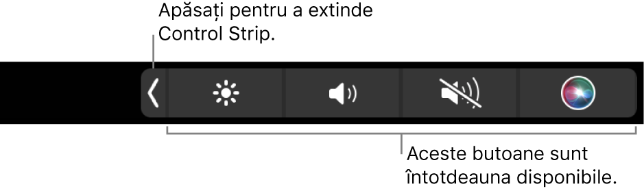 Un ecran parțial cu Touch Bar implicit, prezentând banda Control Strip restrânsă. Atingeți butonul de extindere pentru a afișa banda Control Strip completă.