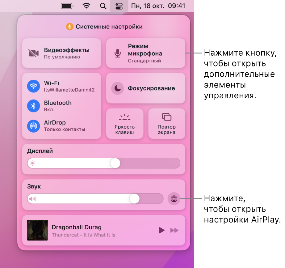 Увеличенное изображение Пункта управления на Mac. Выноска указывает на кнопку «Монитор».
