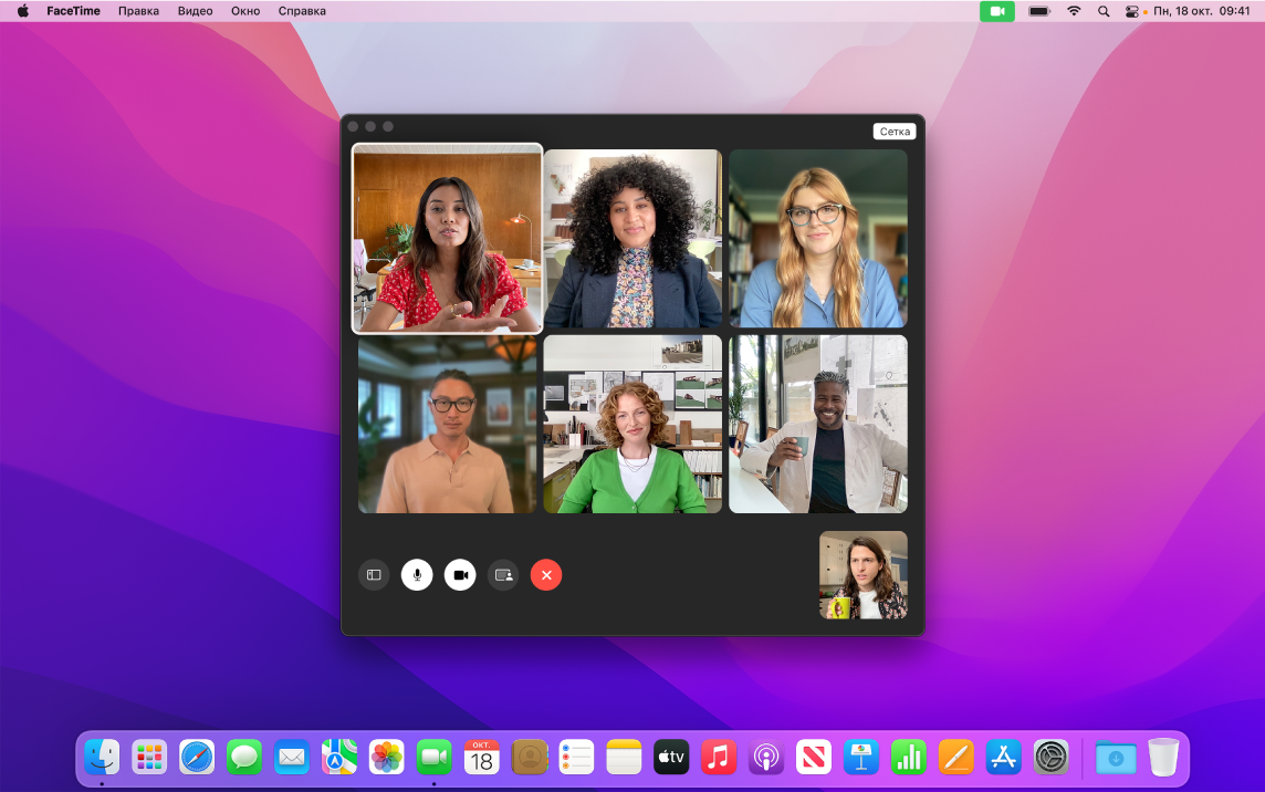 Окно FaceTime, в котором видна группа приглашенных пользователей.