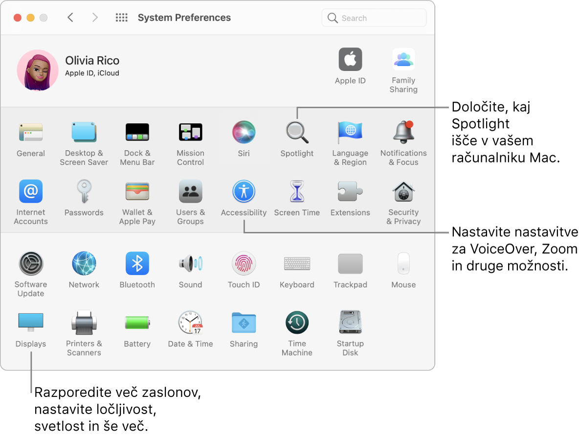 Okno System Preferences s poudarjenimi možnostmi Spotlight, Accessibility in Displays.