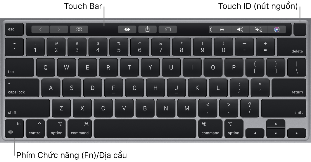 Bàn phím MacBook Pro đang hiển thị Touch Bar và Touch ID (nút nguồn) ở trên cùng, cùng với phím Chức năng (Fn)/Địa cầu ở góc phía dưới bên trái.