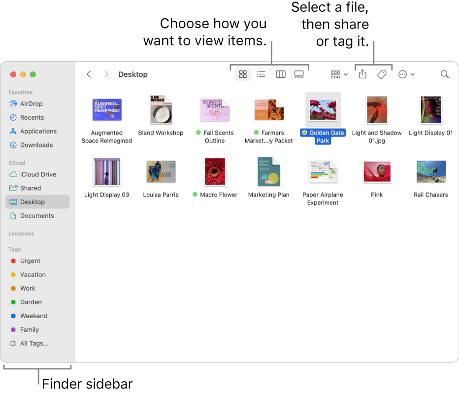 macbook file manager