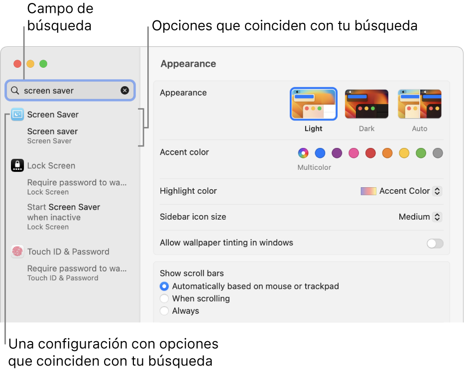 La ventana de Configuración del Sistema con las palabras protector de pantalla en el campo de búsqueda y una lista de los resultados coincidentes debajo del campo de búsqueda.