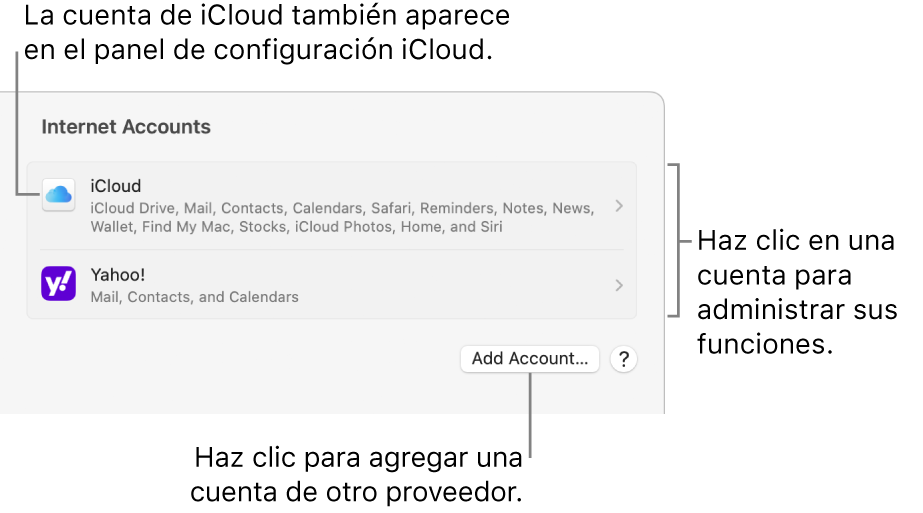 La configuración de Cuentas de Internet mostrando una lista de las cuentas que están configuradas en la Mac.