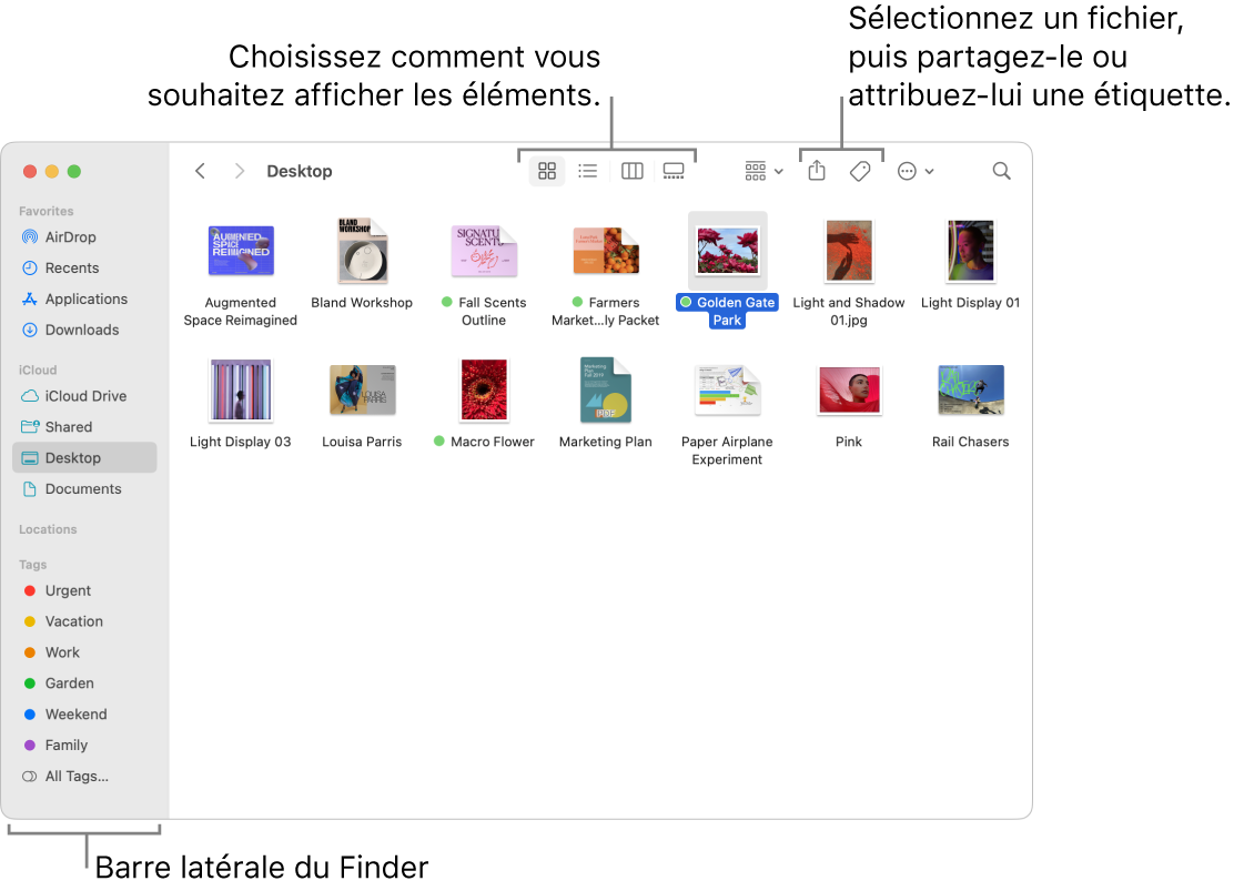 Comment Faire Apparaitre La Maison Dans Finder Sur Mac